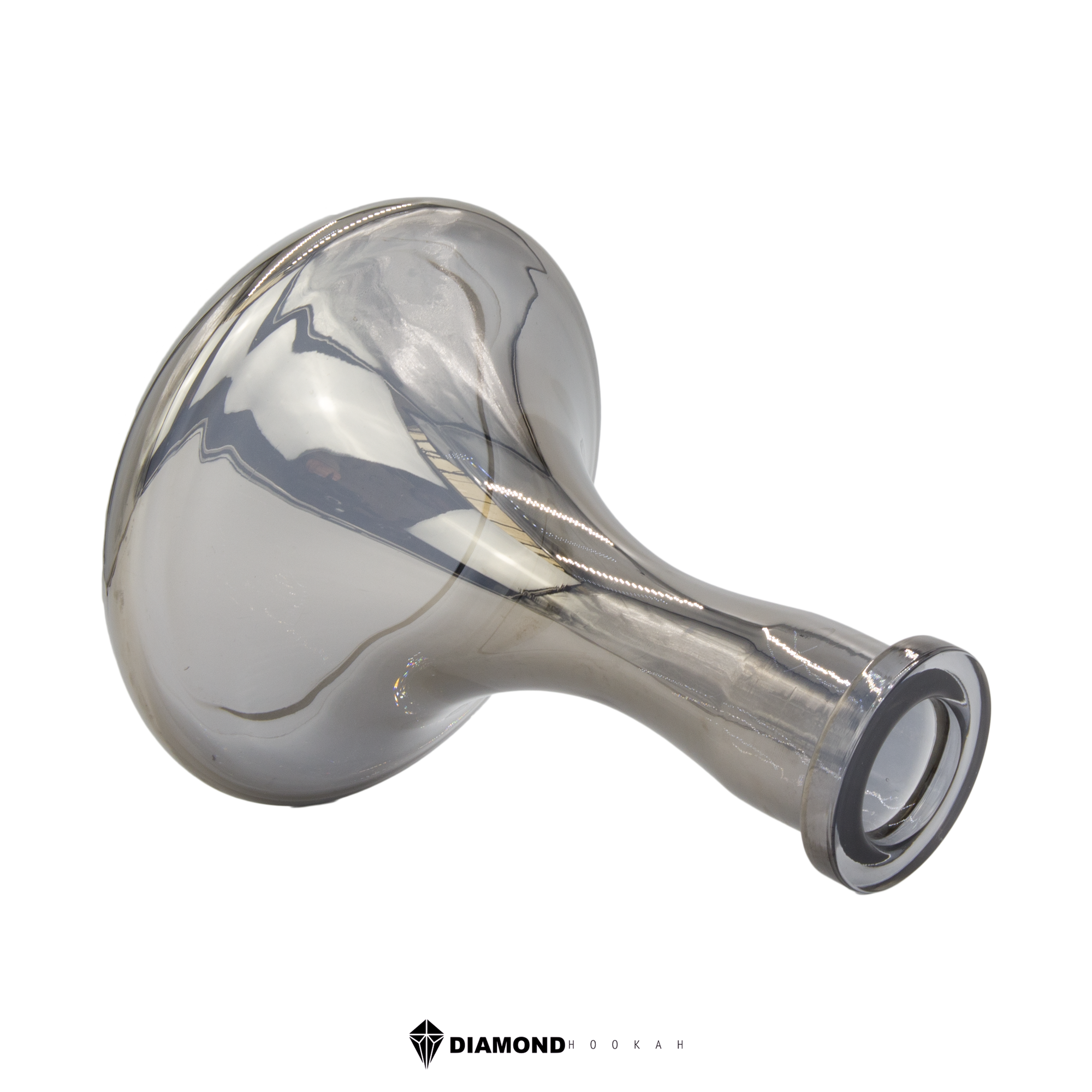 Black-Shiny-liegend-gross